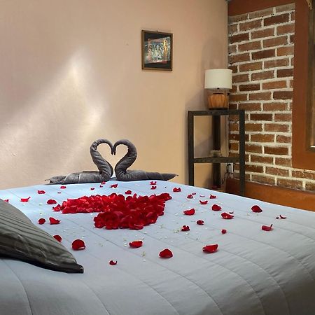 Hostal Casa 4 Estaciones, Coliving & Nature Сан-Кристобаль-де-Ла-Касас Экстерьер фото