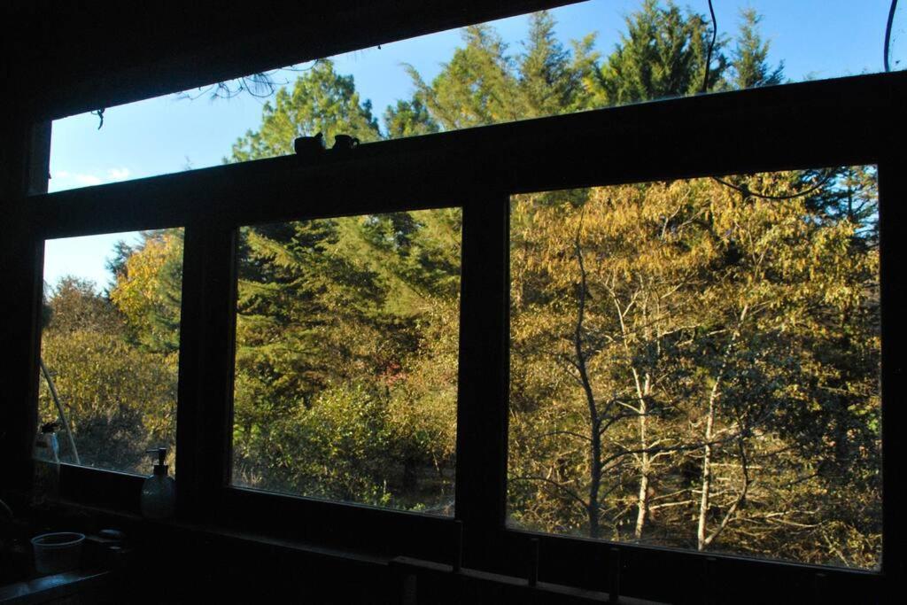 Hostal Casa 4 Estaciones, Coliving & Nature Сан-Кристобаль-де-Ла-Касас Экстерьер фото