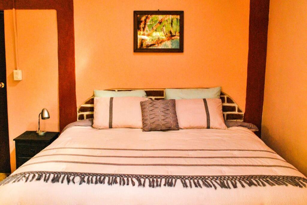 Hostal Casa 4 Estaciones, Coliving & Nature Сан-Кристобаль-де-Ла-Касас Экстерьер фото