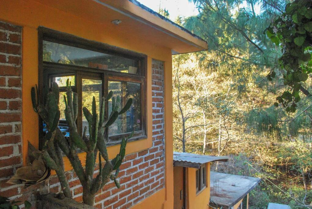 Hostal Casa 4 Estaciones, Coliving & Nature Сан-Кристобаль-де-Ла-Касас Экстерьер фото